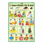 Causes of Diseases Chart